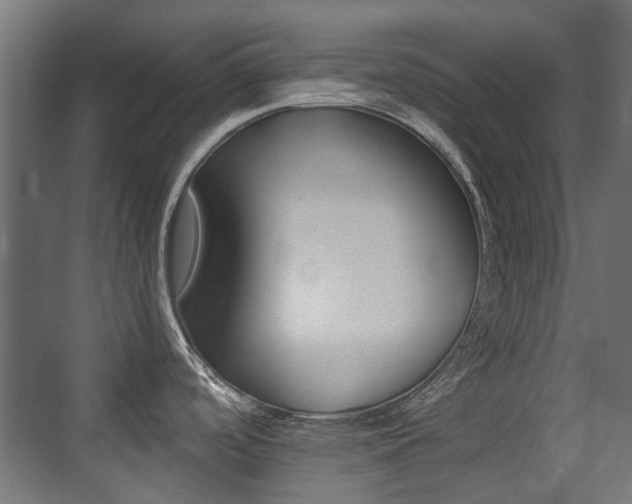 X0000075411488200609080948