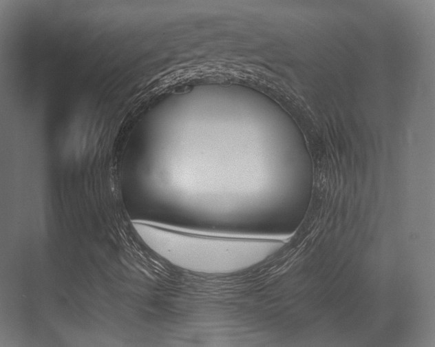 X0000075411490200609080948