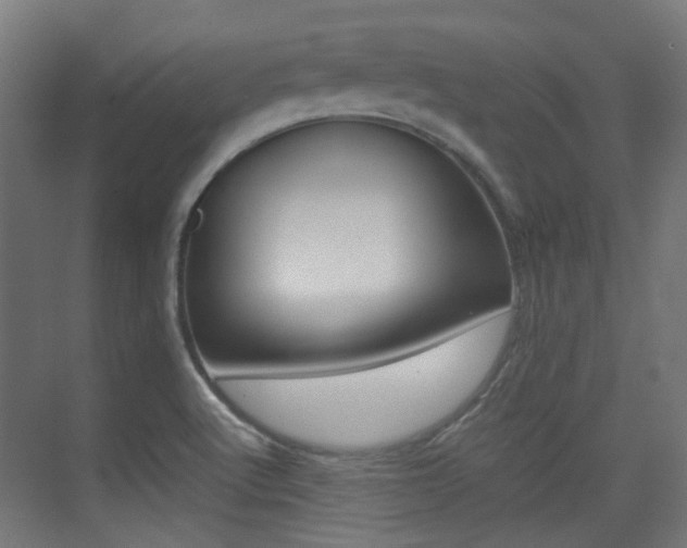 X0000075411512200609080948