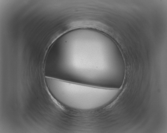 X0000075411521200609080948