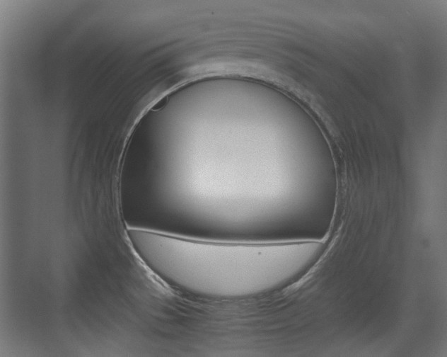 X0000075411529200609080948
