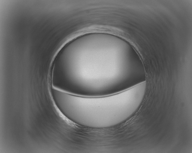 X0000075411531200609080948