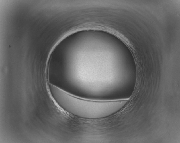X0000075411536200609080948