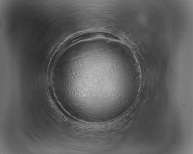 X0000075410002200609081323