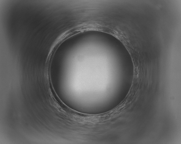 X0000075410004200609081323