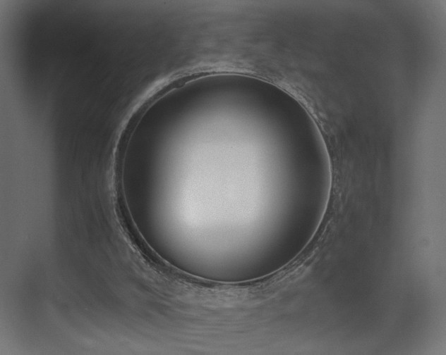 X0000075410008200609081323