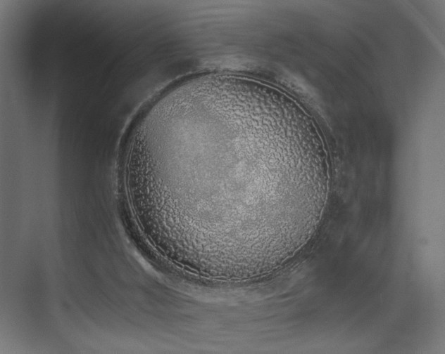 X0000075410012200609081323