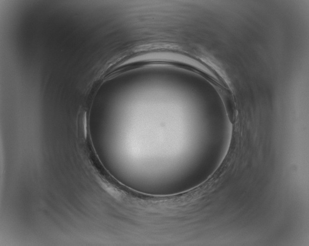 X0000075410013200609081323