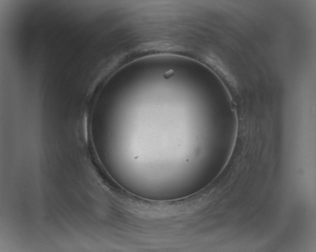 X0000075410014200609081323