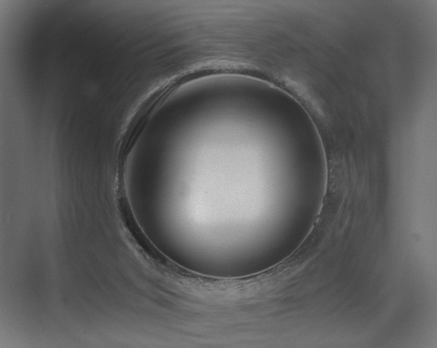 X0000075410015200609081323