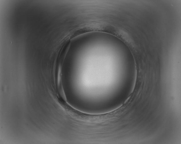 X0000075410021200609081323