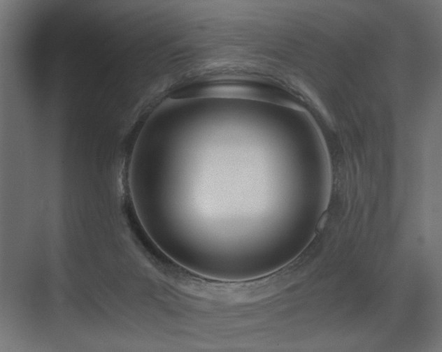X0000075410023200609081323