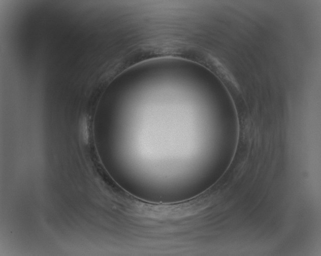 X0000075410026200609081323