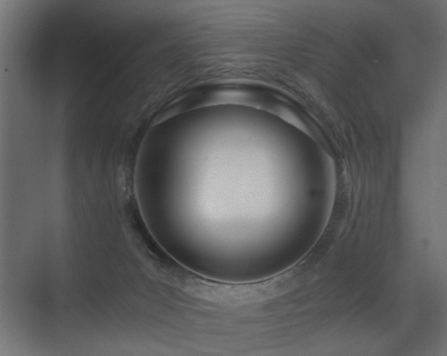 X0000075410031200609081323