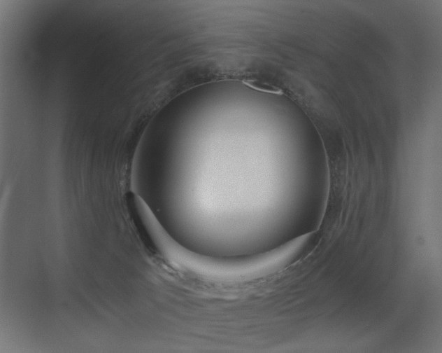 X0000075410033200609081323