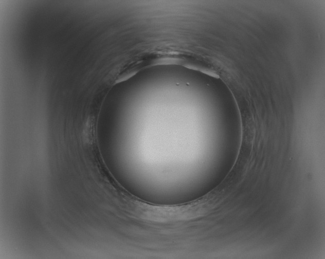 X0000075410034200609081323
