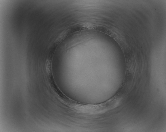 X0000075410036200609081323