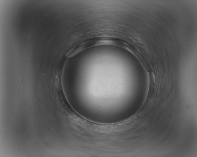 X0000075410037200609081323