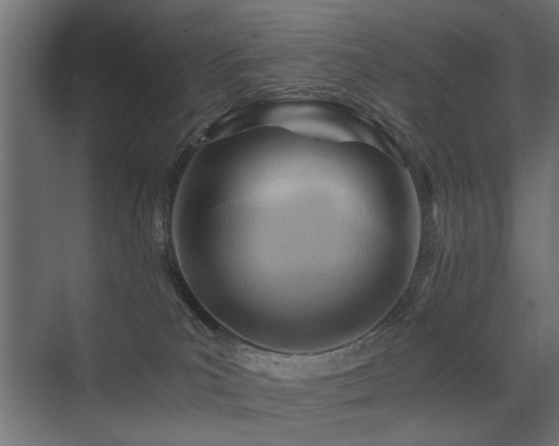 X0000075410039200609081323