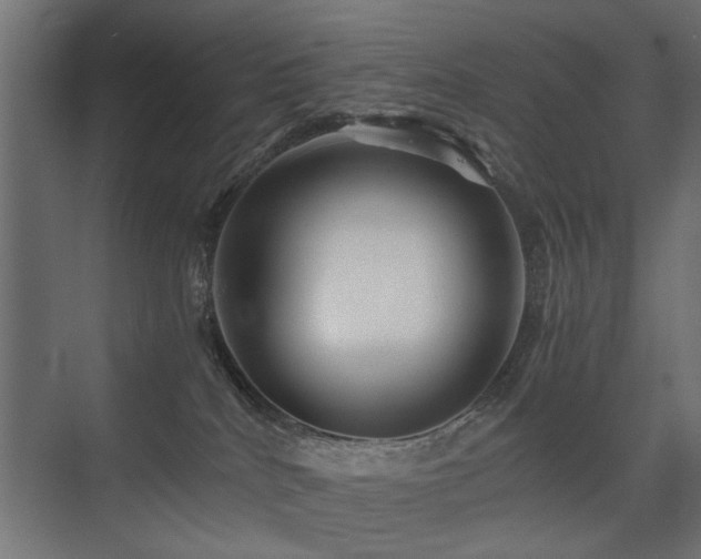 X0000075410040200609081323