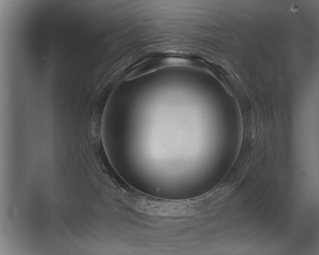 X0000075410044200609081322