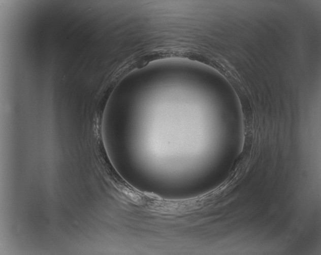 X0000075410045200609081322