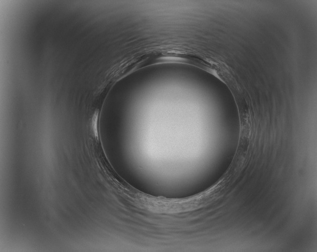 X0000075410047200609081322