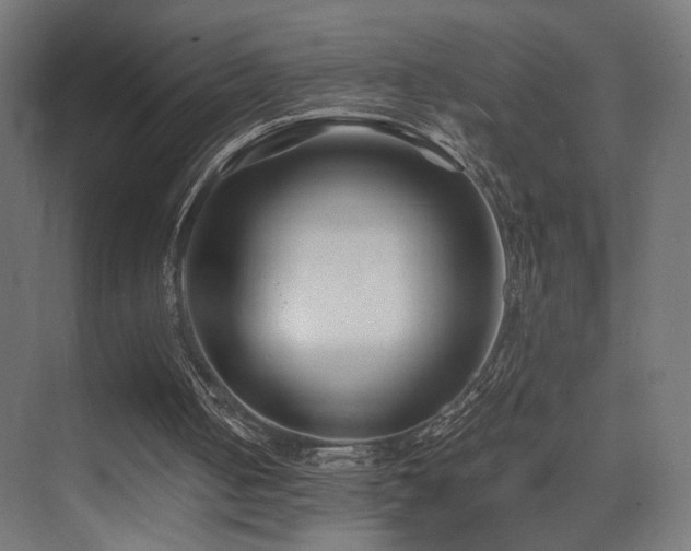 X0000075410050200609081322