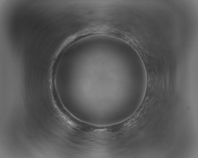 X0000075410054200609081322