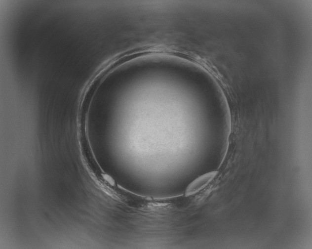 X0000075410055200609081322