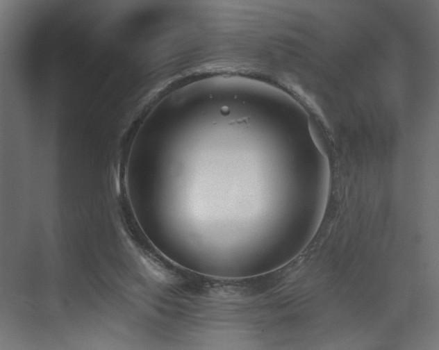 X0000075410062200609081322