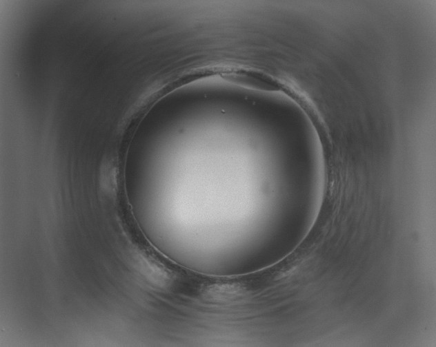 X0000075410063200609081322