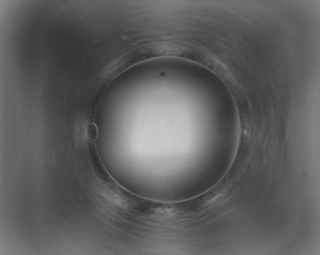 X0000075410071200609081322