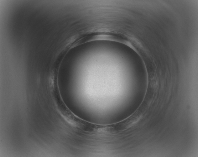 X0000075410072200609081322