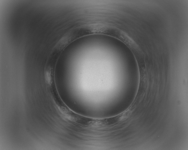 X0000075410074200609081322