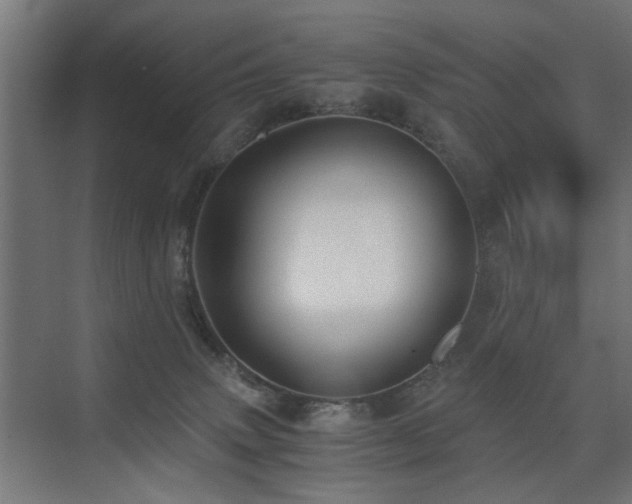 X0000075410083200609081322
