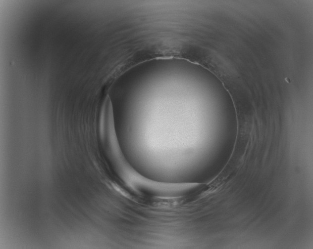X0000075410084200609081322