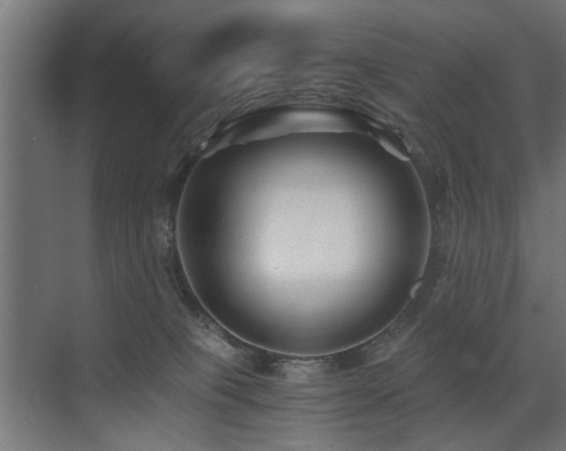 X0000075410085200609081322