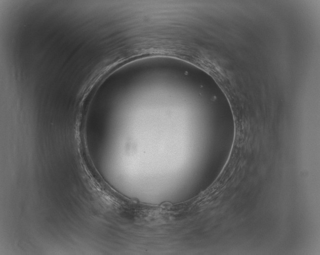 X0000075410098200609081322
