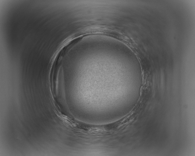 X0000075410099200609081322