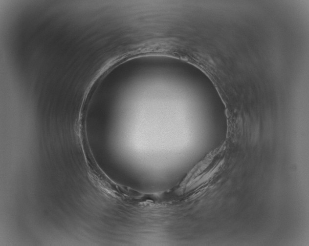 X0000075410100200609081322