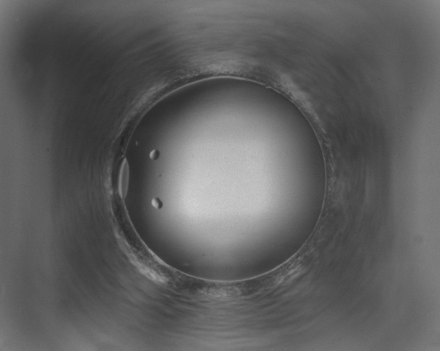 X0000075410106200609081321