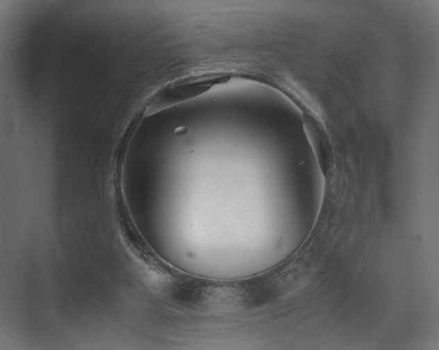 X0000075410107200609081321