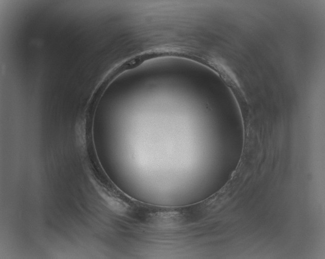 X0000075410108200609081321