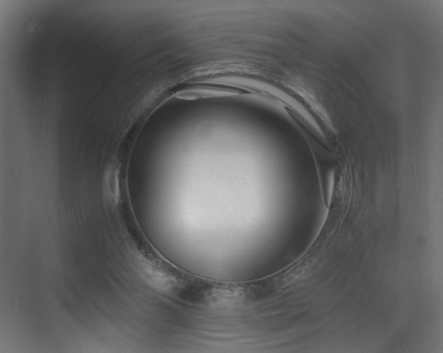 X0000075410110200609081321