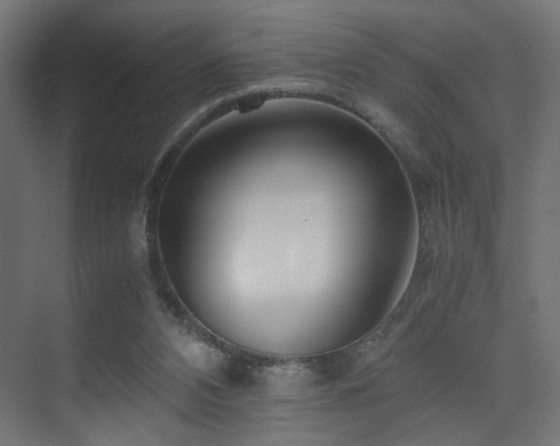 X0000075410112200609081321