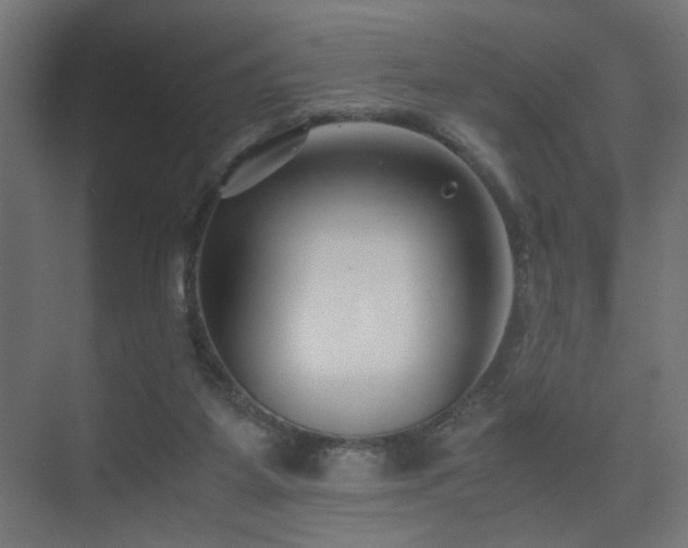 X0000075410115200609081321