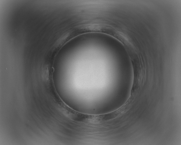 X0000075410120200609081321