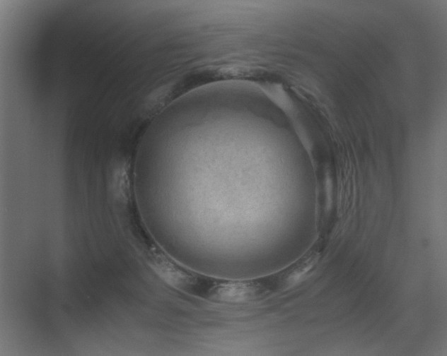 X0000075410127200609081321