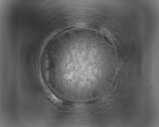 X0000075410145200609081320